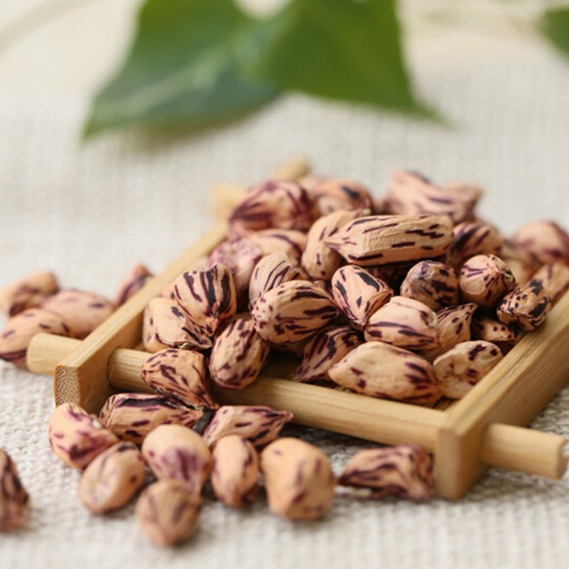 野地七彩云南孟连特产七彩花花生果新鲜带壳煲粥花生