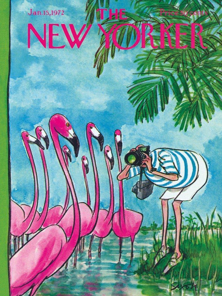 正版纽约客newyorker拼图1938弗朗明哥摄影师500片粉色火烈鸟