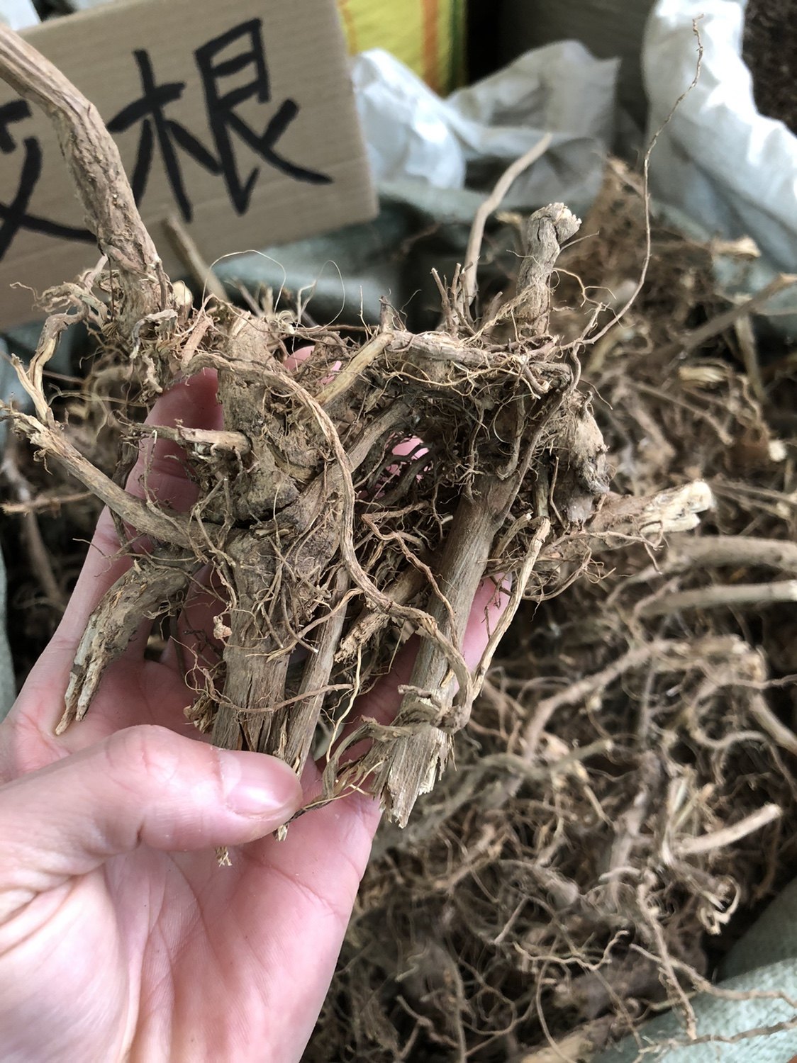 艾根1000克客家野生五月老艾根艾叶根小叶大叶艾草其他药食同源食品