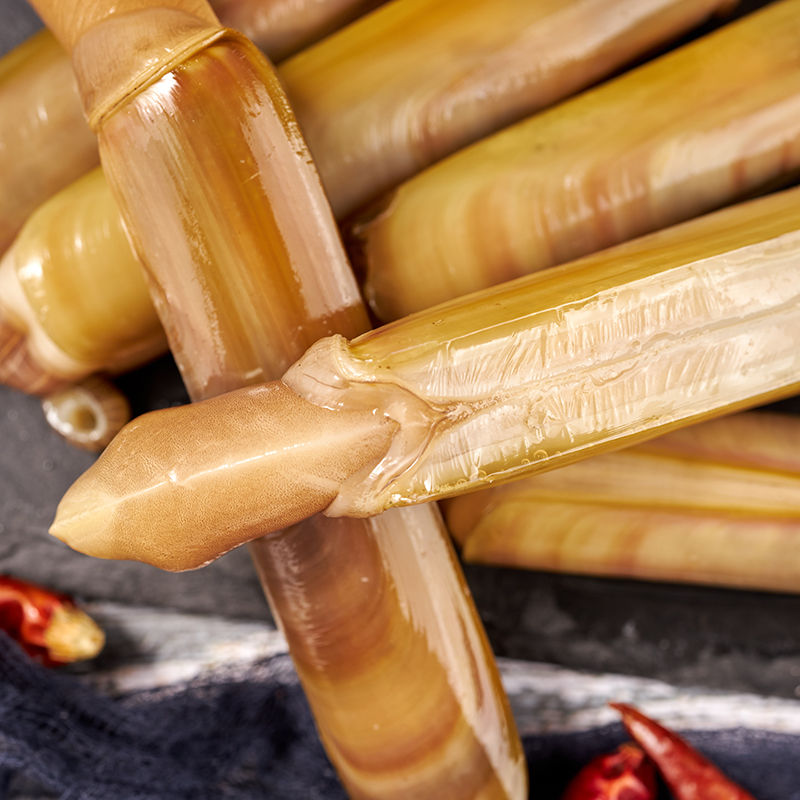 大蛏贝类大连无沙3斤超大王超大竹节新鲜刀蛏蛏子