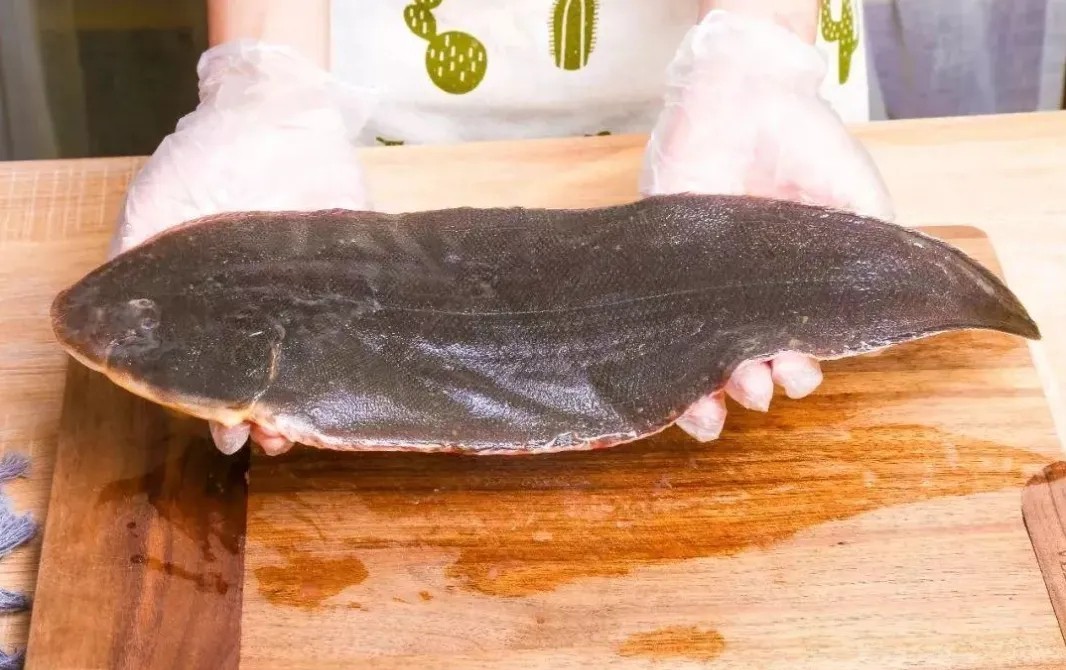 2斤1条鲜活鳎目鱼龙龙利舌头新鲜海鲜水产比目鱼
