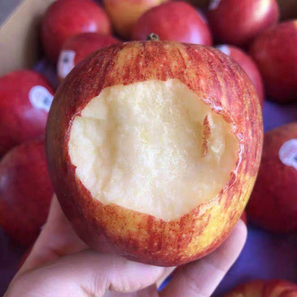 仅限北京闪送17粒礼盒盒装新西兰进口爱妃envy苹果