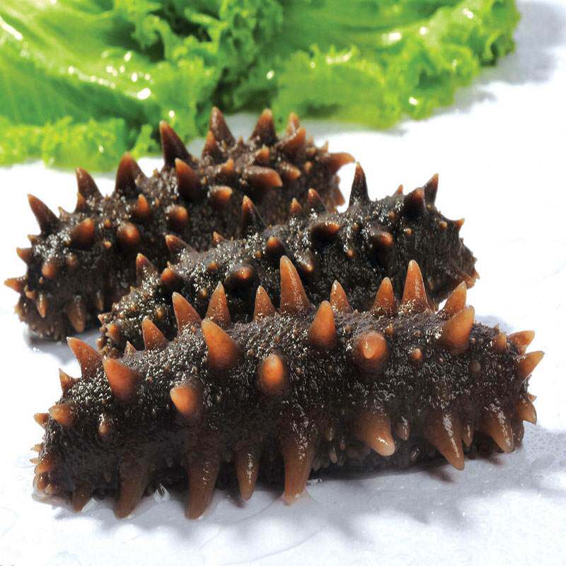 500g10只装北京闪送大连即食海参高压刺参营养海参