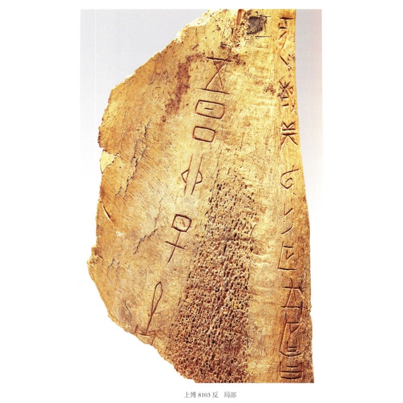 甲骨文殷商世纪书局中西书籍图书研究文史汉字文物