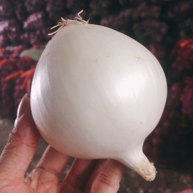 新疆皮牙子生吃白皮洋葱新鲜5斤大洋葱10斤拍两份