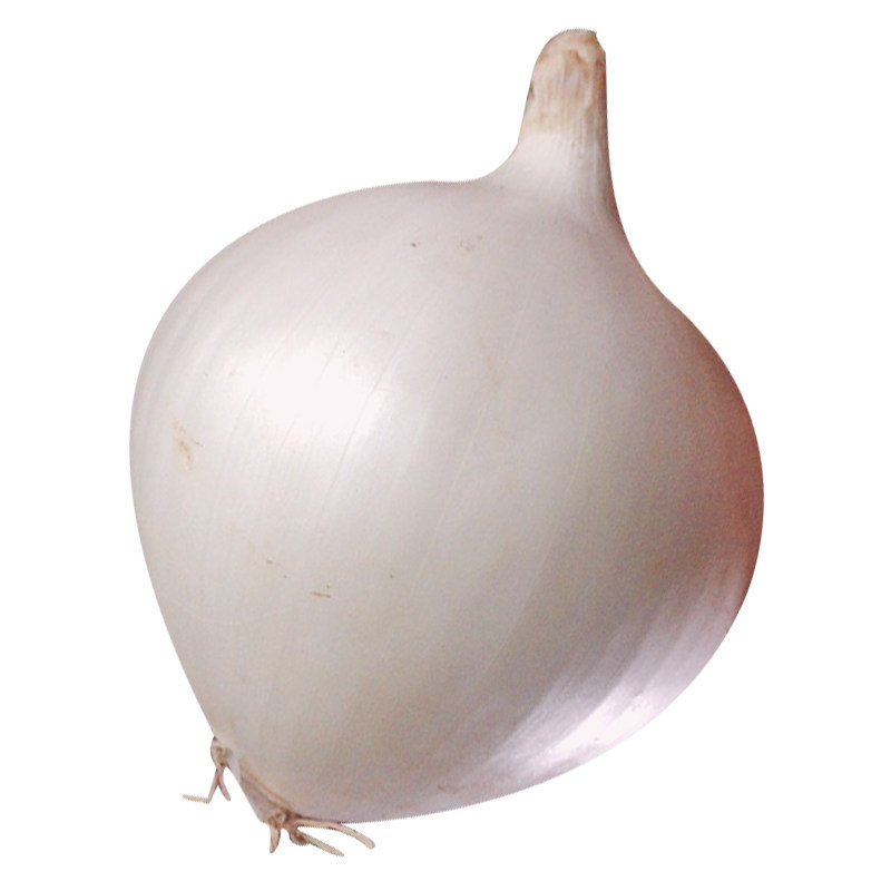 新疆皮牙子生吃白皮洋葱新鲜5斤大洋葱10斤拍两份