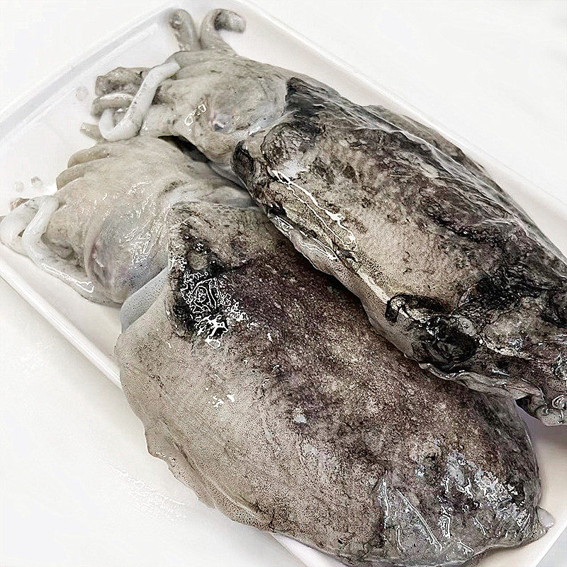 舟山原汁墨鱼新鲜冷冻鲜活乌贼特大目鱼花枝冷冻墨鱼