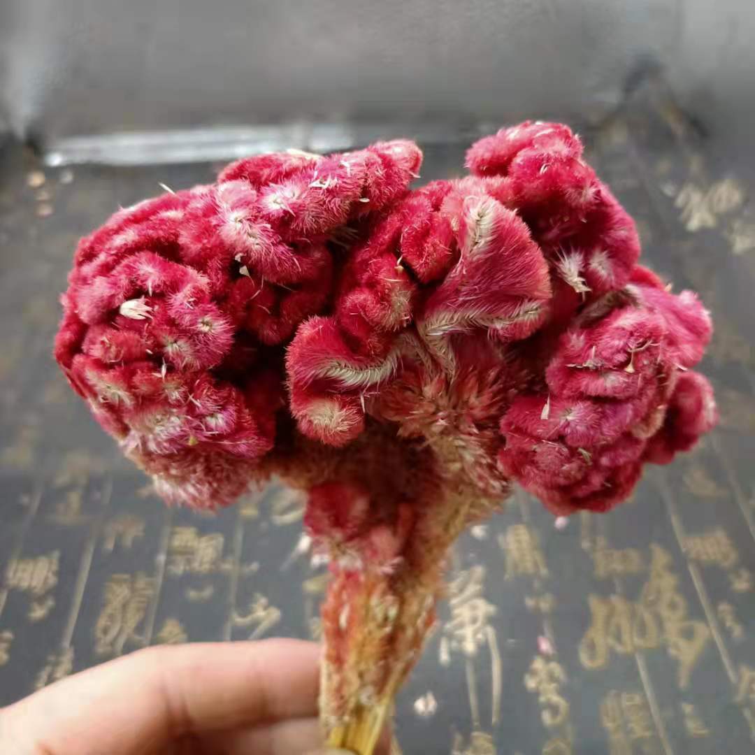 鸡冠花新鲜干货中药材自然晒干红色鸡冠冠子500克其他药食同源食品