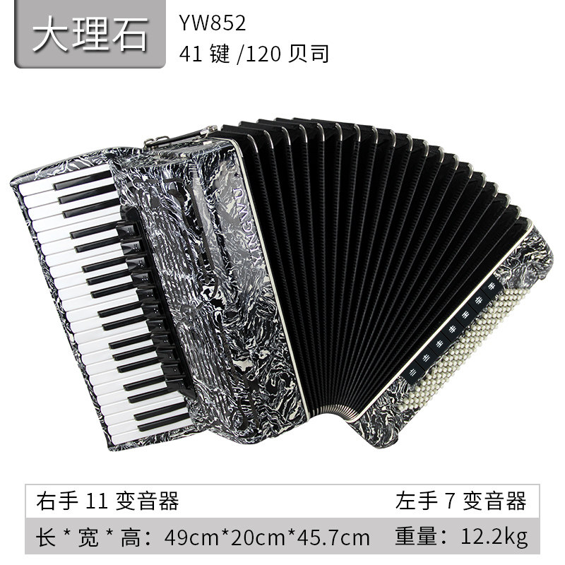 回声鹦鹉专业迷你四排贝斯yw852手风琴演奏手风琴
