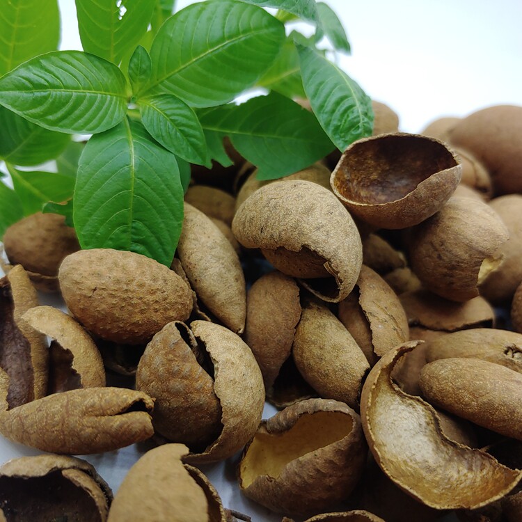 高州桂圆龙眼壳纯外皮自家干晒无硫1斤其他药食同源食品