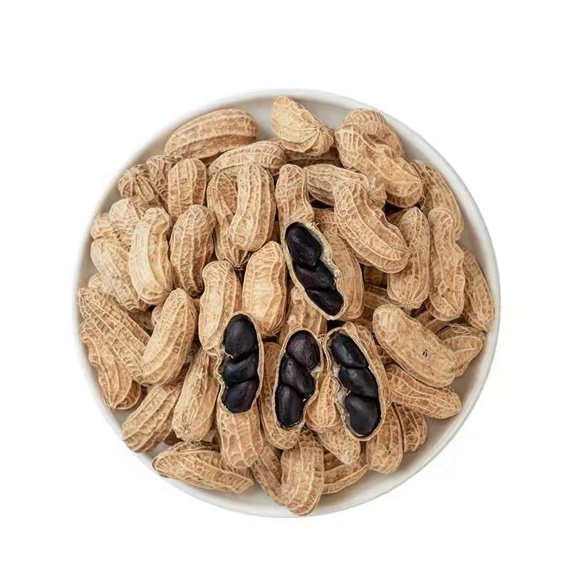 2021新鲜云南黑花生带壳富硒黑花生种子旗舰店黑皮花生云南特产-mc母