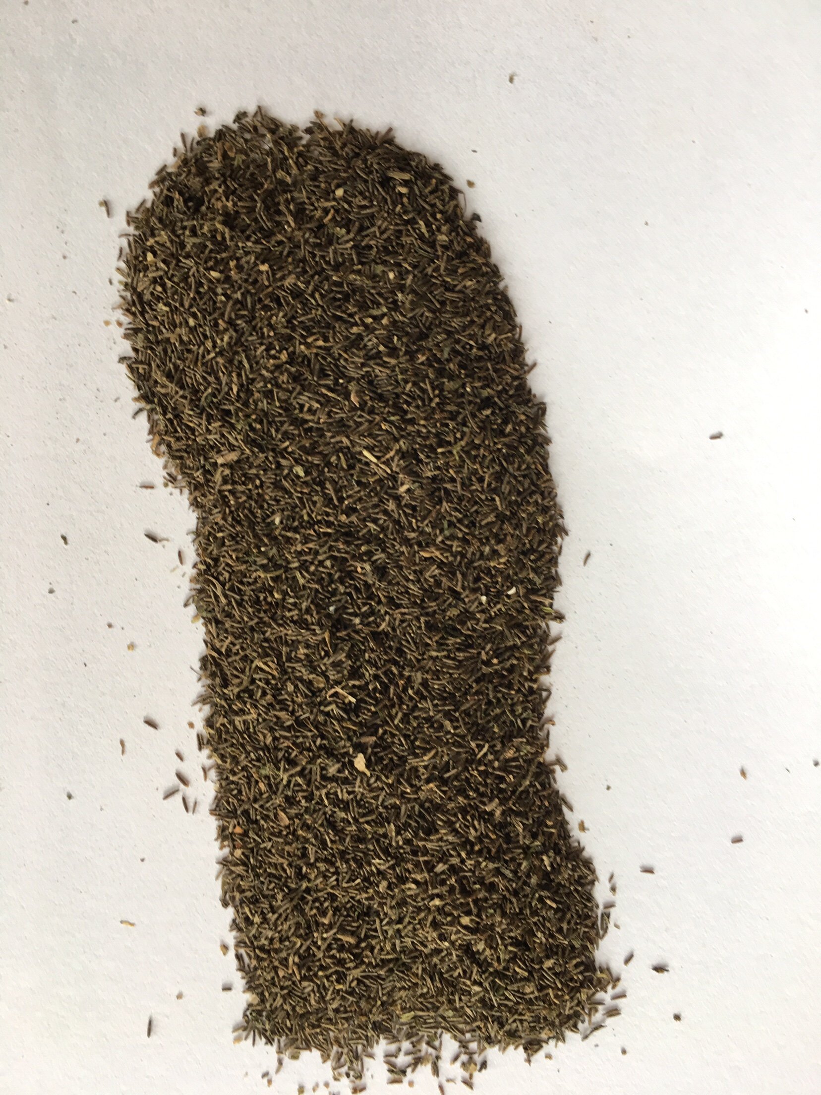 种籽苦草扁担草种种子养殖虾蟹鱼池池塘淡水水草