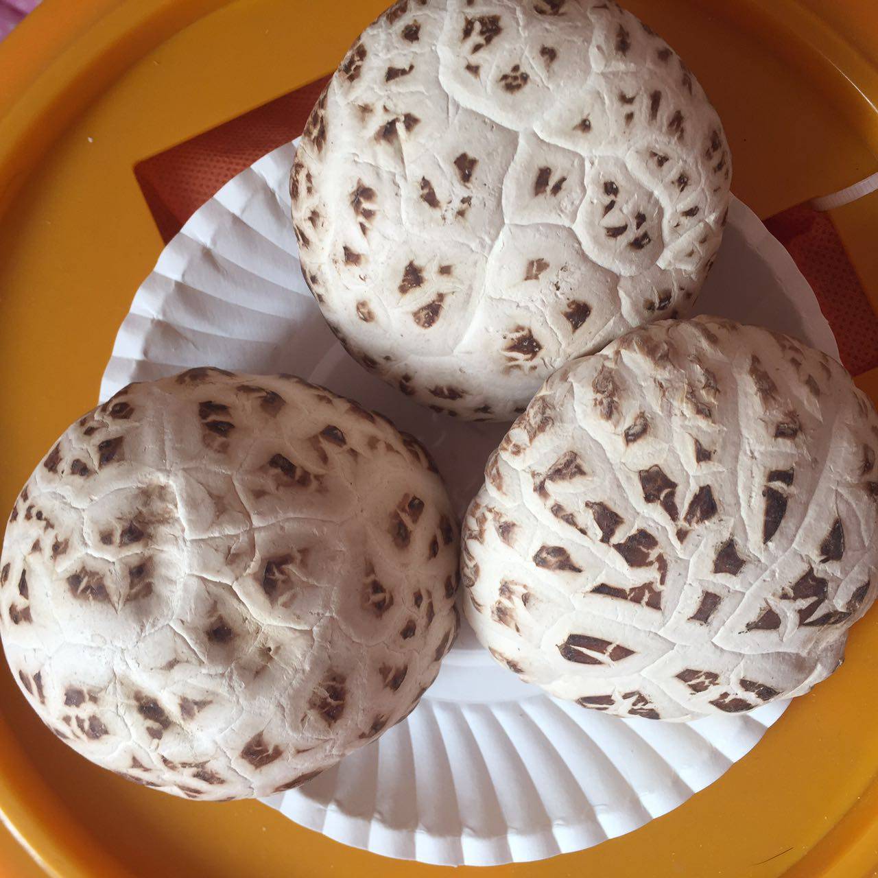 花菇干货泌阳花菇新鲜野生花菇农家特产肉厚香菇散装包邮500g