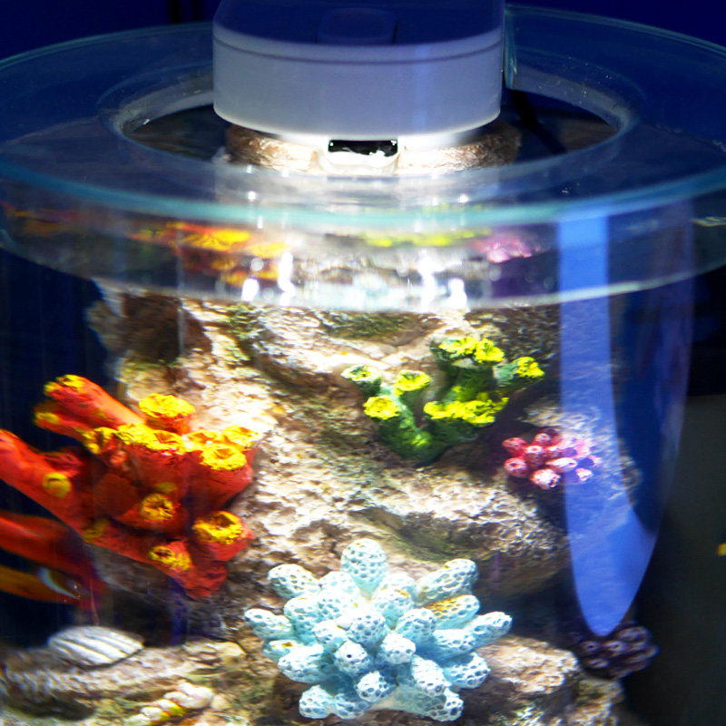 小丑鱼海水鱼缸小型意大利进口marina创意桌面观赏海鱼缸