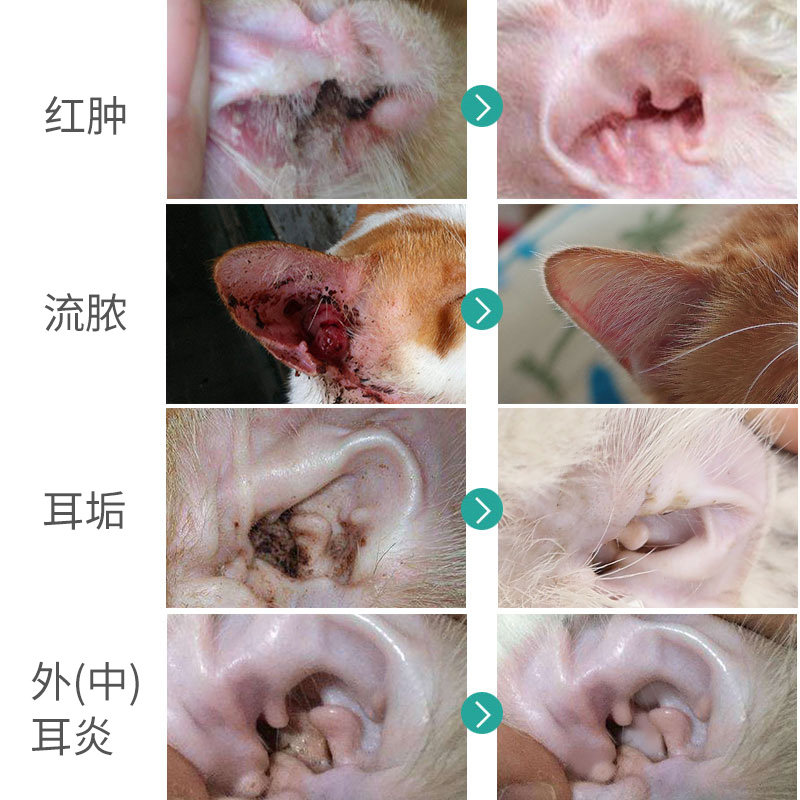 猫咪洗耳狗狗耳螨宠物滴耳耳朵清洗猫耳螨专耳部清洁