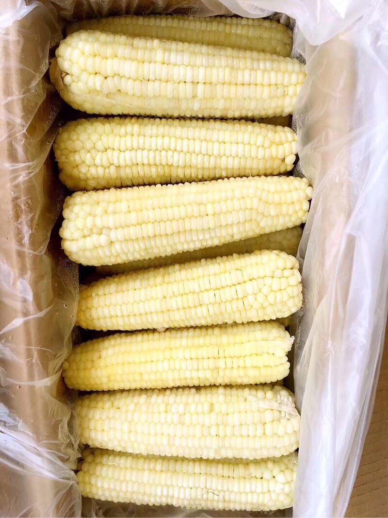 缺货大董冷冻甜糯玉米40根有机转基因江浙沪包邮玉米