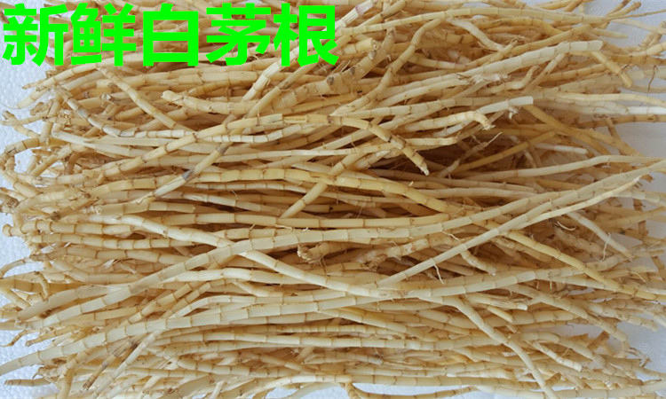 新货干白茅根新晒干品 茅草根 丝茅根甜草根鼻血凉茶食材