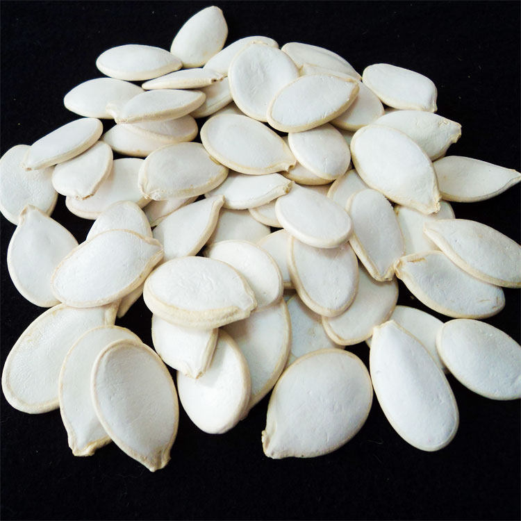 新货大片南瓜子500g白瓜子大南瓜籽大白白板葫芦瓜子