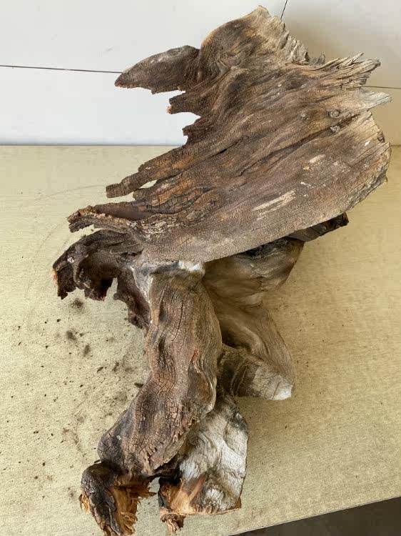 精品太行悬崖侧柏岩涯毛料陈化高油枯树桩茬头根雕