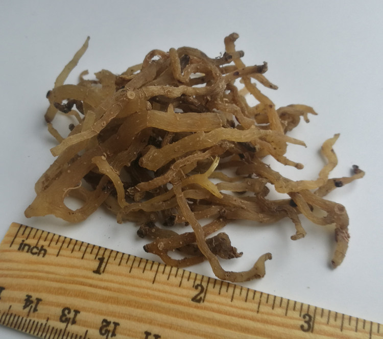 500g贵州野生玉竹参竹节黄玉术节地委萎女萎地管子尾参全根