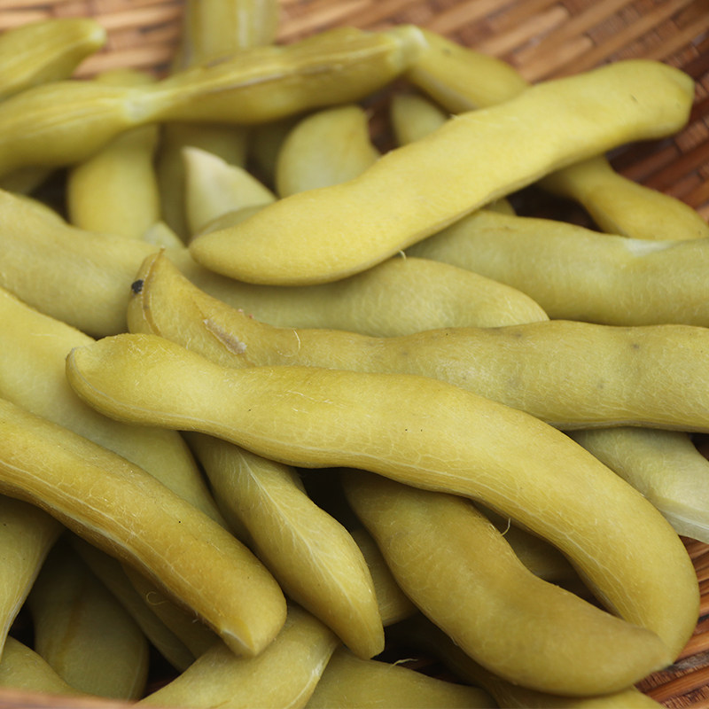 狗儿四川剥皮农产品新鲜龙爪猫儿食用猫猫猫豆其它