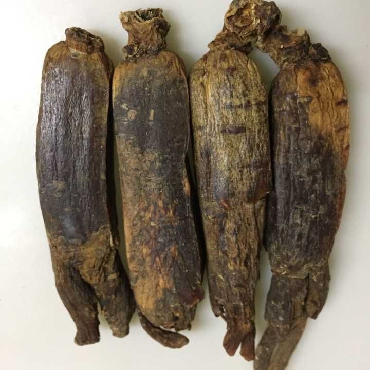 康美新开河人参 高丽参 红参8年老参20支装纯无糠参100克包邮