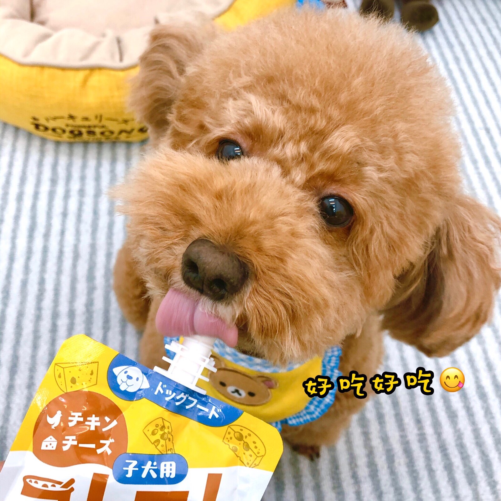 地狱厨房咕噜酱狗狗多口味湿粮奶油浓汤宠物零食拌粮搭档猫犬通用