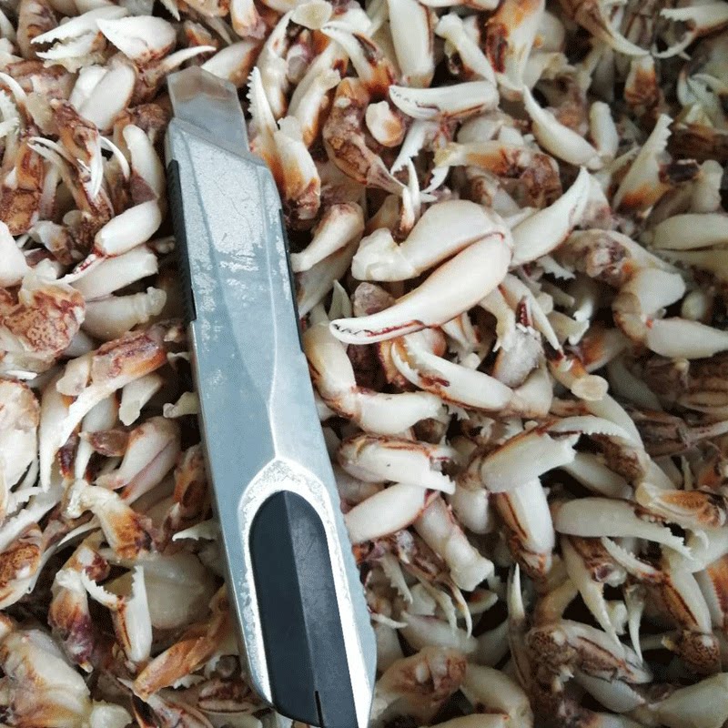 蟹钳冷冻新鲜中小小号花蟹蟹脚腌制生蟹供应蟹类制品