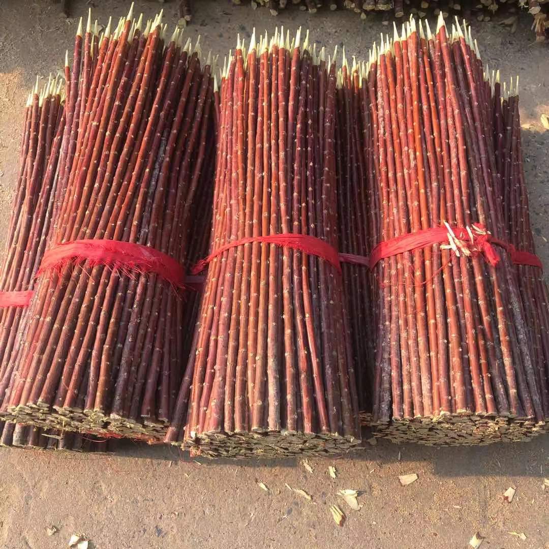 红柳烤肉签子新疆柳枝烧烤羊肉串柳木串肉烤串烧烤夹