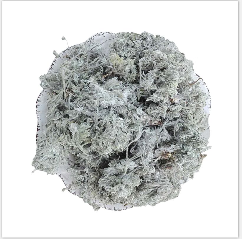 三月新鲜棉茵陈野生白蒿野菜绵茵陈草整颗白蒿干货茵陈中药材500g