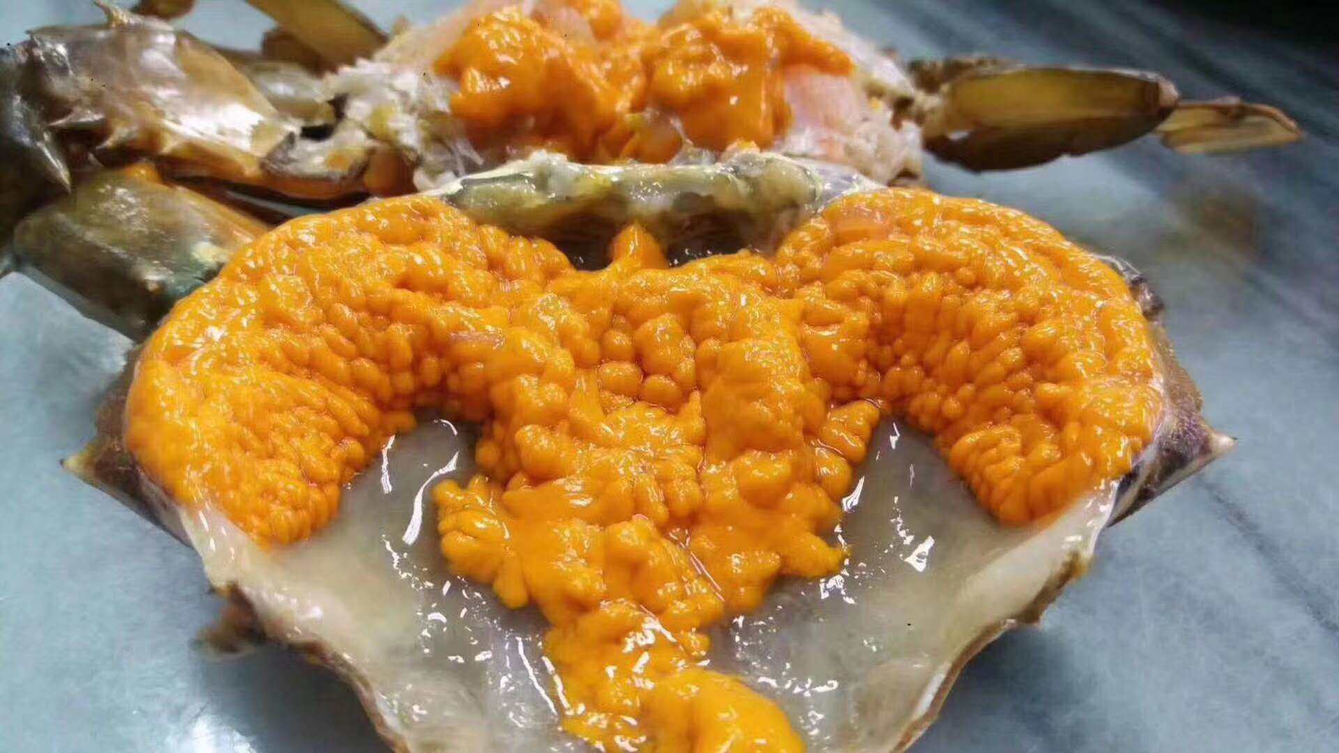 膏蟹网红海鲜三哥全母非洲香辣1斤熟食1只其它