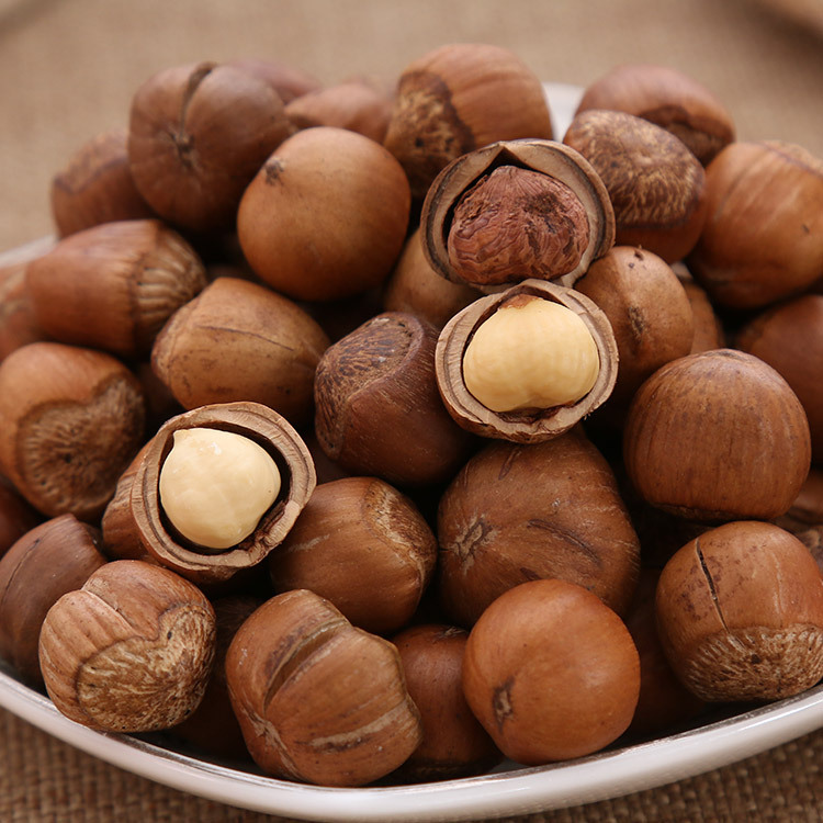 坚果东北兴安岭特产黑龙江大个开口炒熟零食榛子榛子