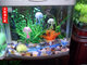 The new simulation fake jellyfish jellyfish aquarium landscaping aquarium decoration creative software emulation silicone fluorescent jellyfish The new simulation fake jellyfish jellyfish aquarium landscaping aquarium decoration creative software emulation silicone fluorescent jellyfish