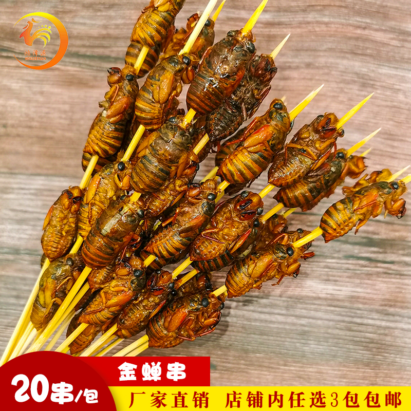 金蝉串知了猴串烧烤油炸串新鲜野生活体冷冻昆虫蝉蛹