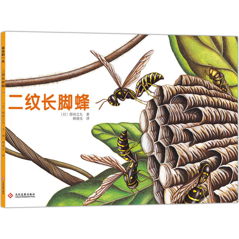【当当网 正版童书】昆虫的一生(套装共5册)绘本大师得田之久经典作品