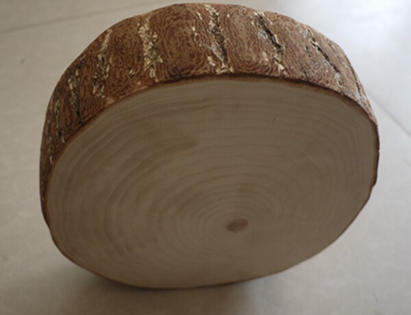 银杏木砧板白果树整木圆形菜墩家用厨房抗菌原木菜板天然案板包邮