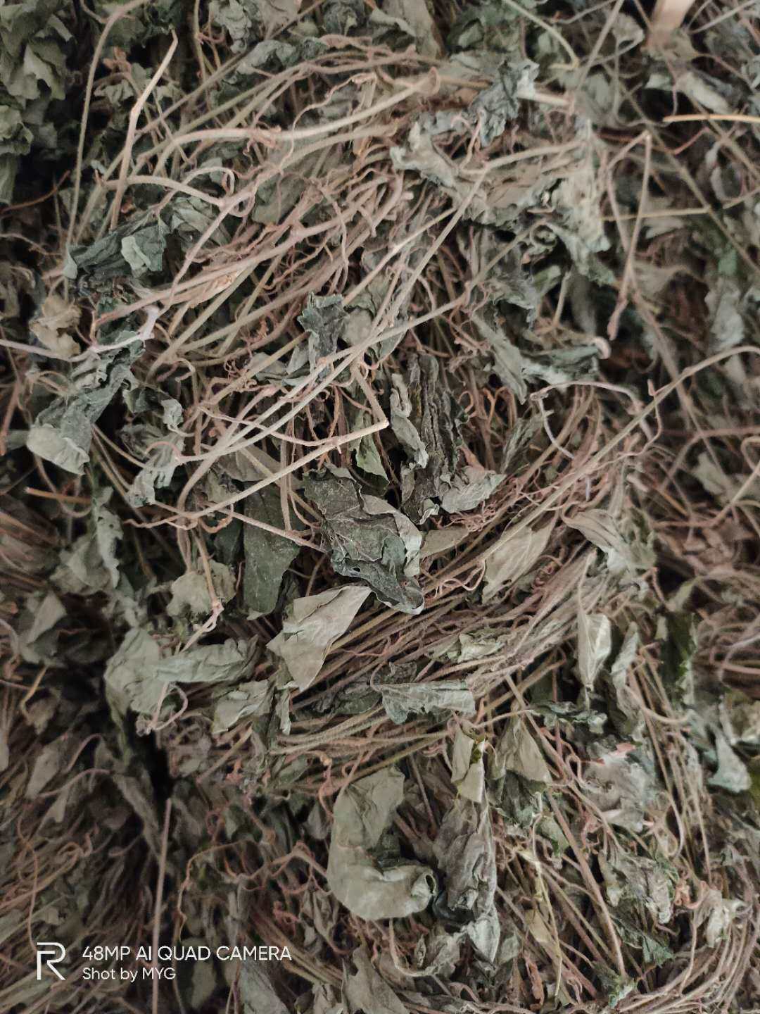 小毛野生小墙石蒌爬岩绒毛胡椒干品全株毛其他药食同源食品