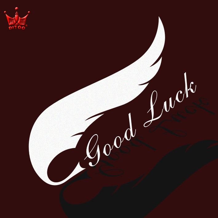 车贴贴纸帝图羽毛划痕遮挡汽车车身个性装饰汽车装饰贴