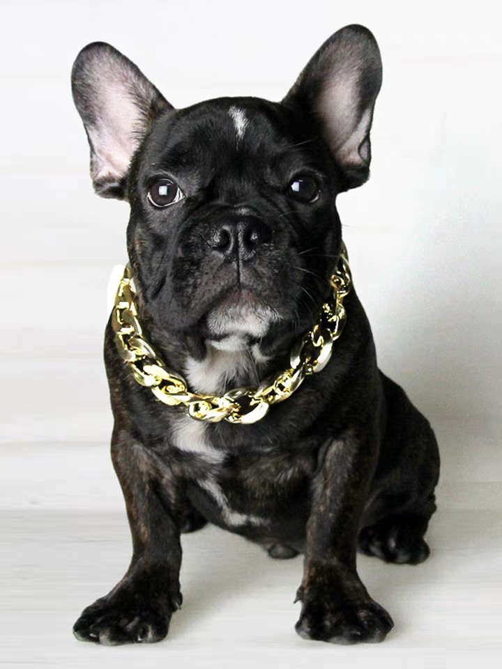 包邮法恶犬狗狗项圈项链霸气宠物链子斗巴金链子项圈
