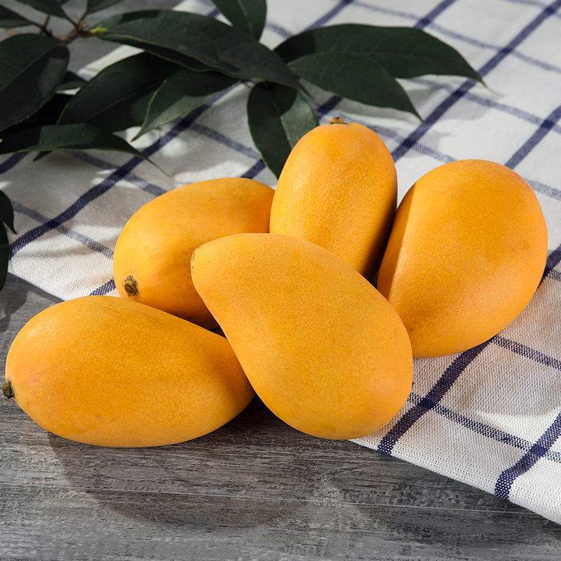 海南新鲜整箱金煌当季水果孕妇热带南台包邮芒果