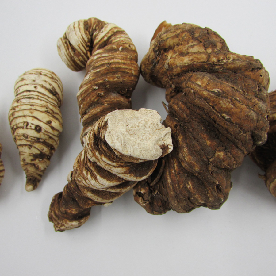 重楼七叶一枝花蚤休草河车粉质滇重中药材100g包邮其他药食同源食品