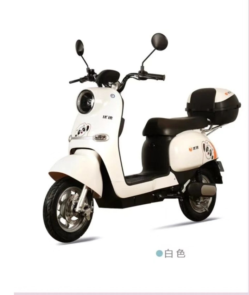 优速免费上海锂电池48v国标dp6新国标电瓶车自行车电动自行车