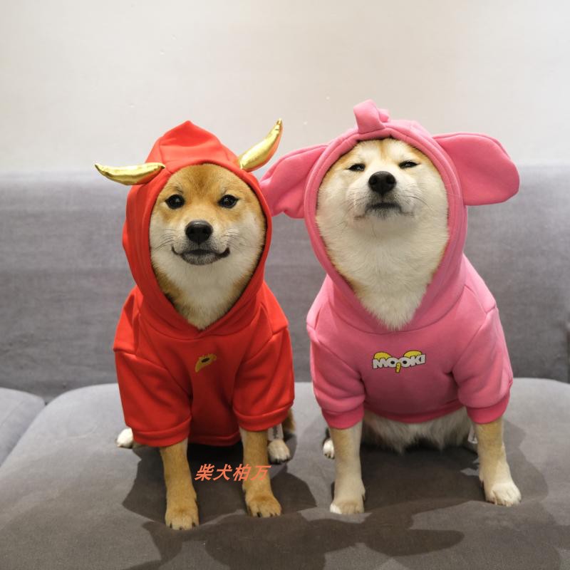 万同潮牌柴犬衣服宠物粉色色加绒厚卫衣可爱宠物服装