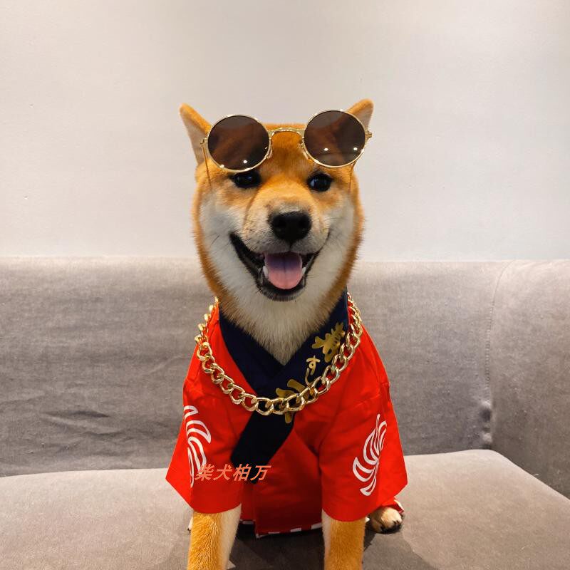 万同款柴大金链子金丝眼镜潮流墨镜潮牌宠物狗宠物服装