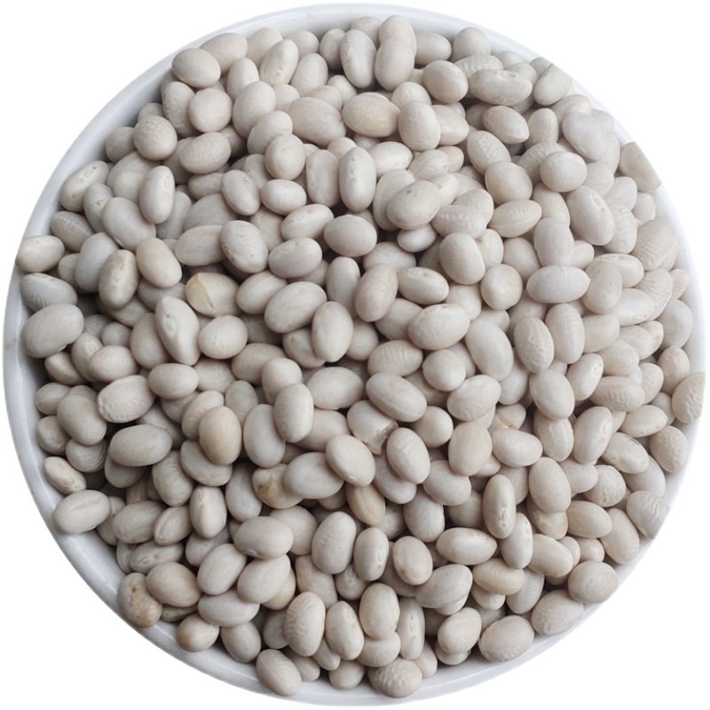 小白珍珠农家自种白洋芸豆白豆炖菜煲汤豆类其它