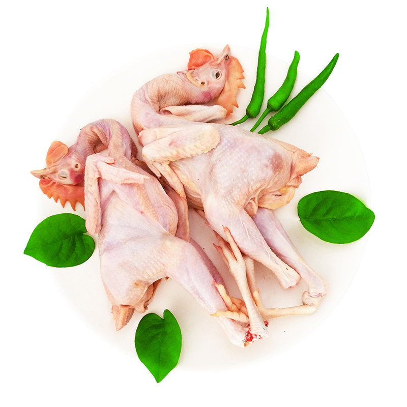 池州没打装包2只公鸡仔鸡农家现杀新鲜子鸡整鸡