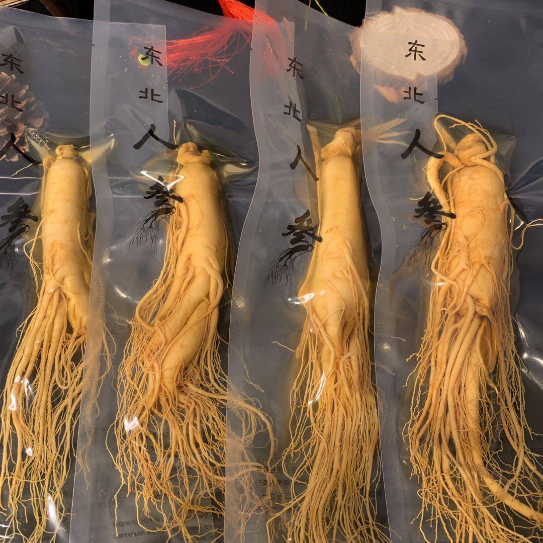 新鲜人参的功效与作用_人参健脾丸的功效与作用_新鲜人参的功效与作用