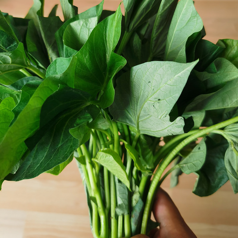 3斤嫩尖薯尖包香滑叶香滑山芋无渣新鲜红苕蔬菜其它