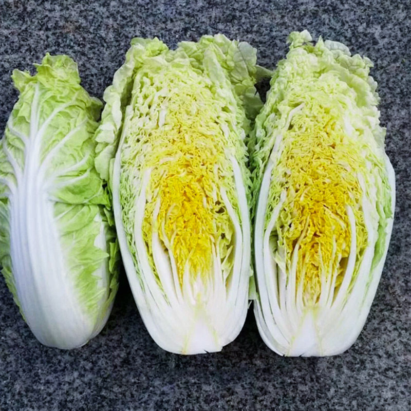 宝儿快菜种子四季四季青青菜小白菜种籽盆栽菜籽家庭园艺种子