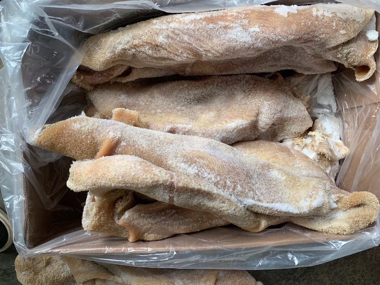 新鲜冷冻牛百叶千层牛杂食材牛肚 - 淘乐搜